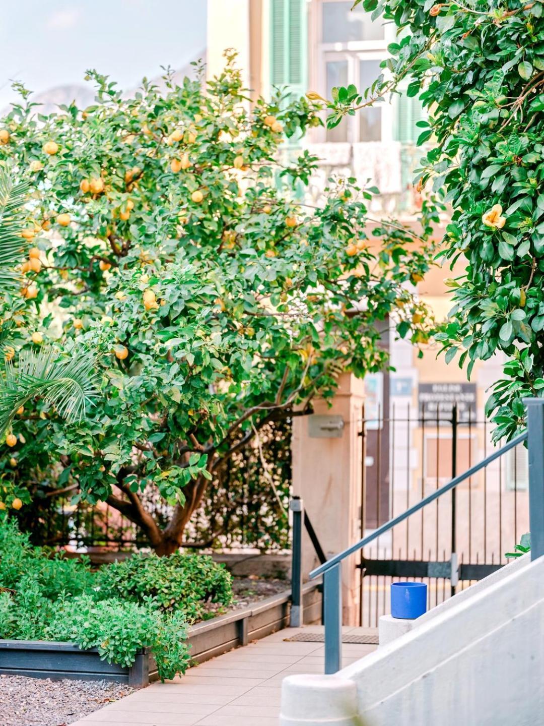 Hotel Lemon Ментона Экстерьер фото